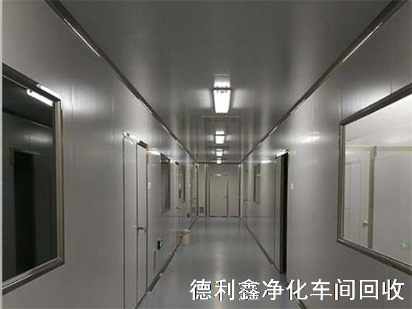 55543304.jpg